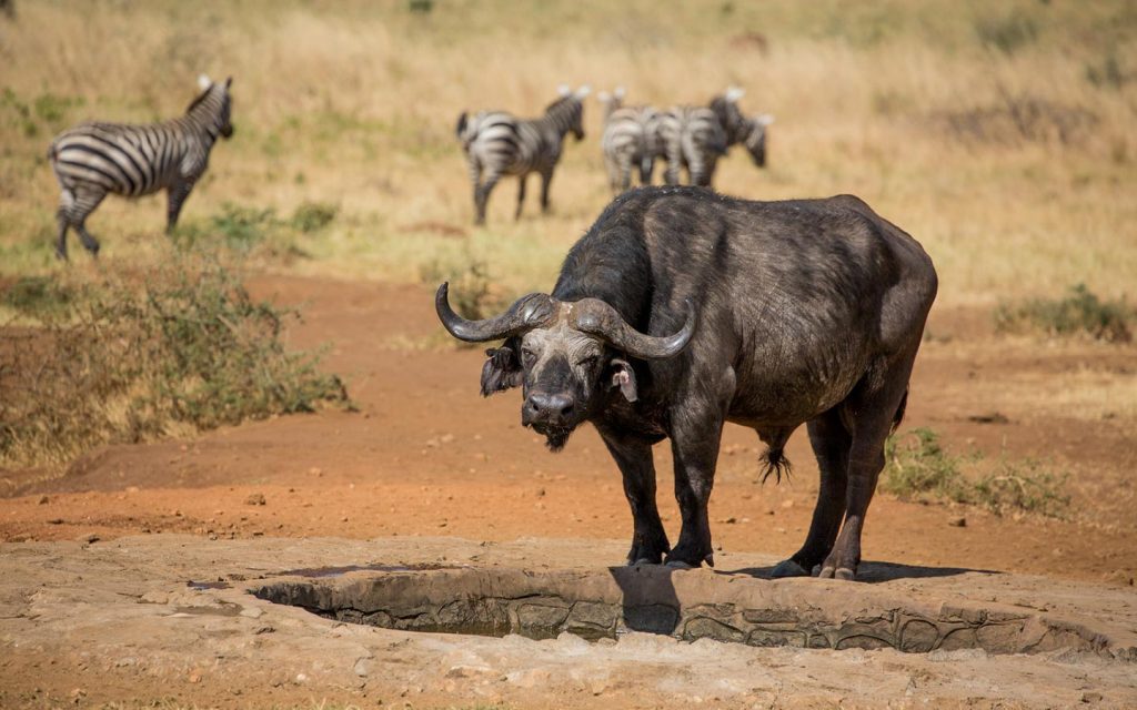 Kidepo Valley